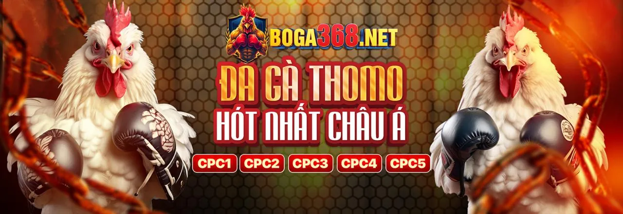Tùy chọn tự loại trừ