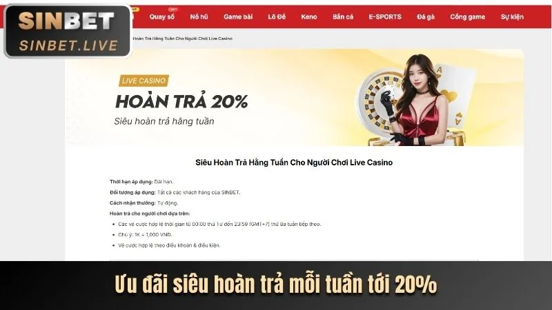 Hoàn trả cược đá gà hàng tuần tại jun88tv win